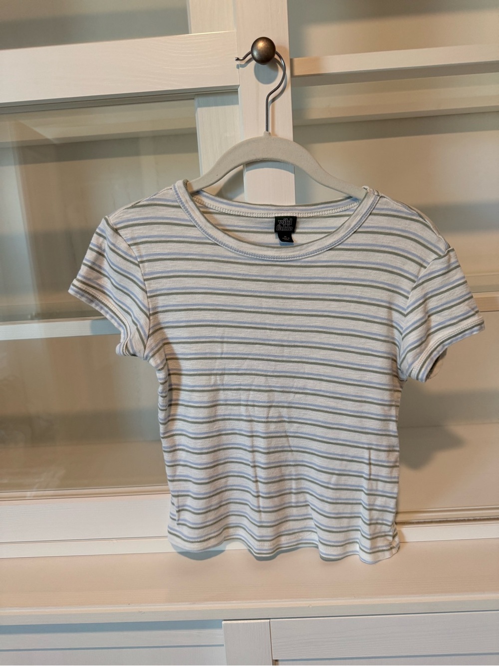 Wild Fable cropped striped baby tee